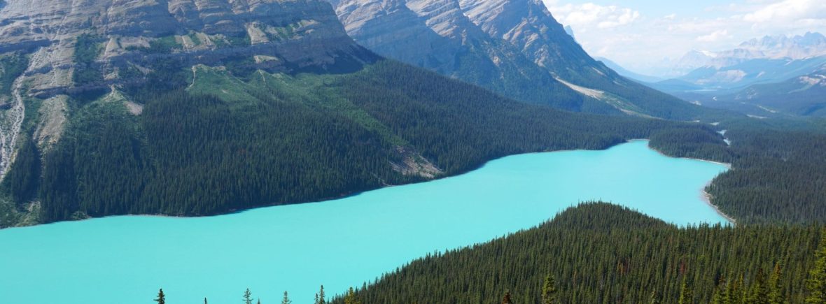 icefields parkway, lac peyto, parc national des glaciers, canada, ouest canadien, voyage, icefield road